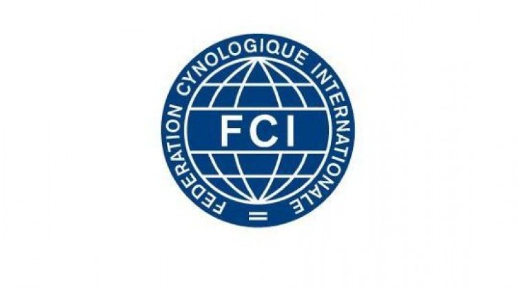 Międzynarodowa Federacja Kynologiczna (FCI)